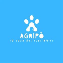 Agripo Di Maffezzoli Matteo, Casalmaggiore orari di apertura