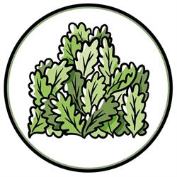 Agraria Braidese, orari di apertura