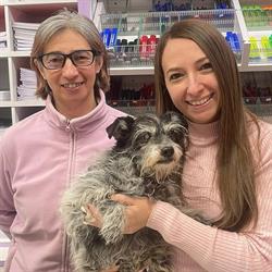 Cartolibreria Proposte Di Lupi Sara, Mondovì orari di apertura