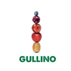 Gullino Group, Saluzzo orari di apertura