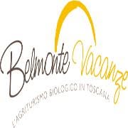 Belmonte Case Per Vacanze SRL, Montaione orari di apertura