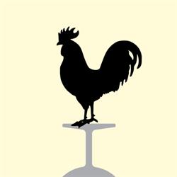 Ristorante Trattoria Il Barrino, Firenze orari di apertura