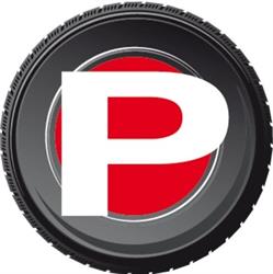 PECCHIOLI GOMME S.A.S. - Driver Center Pirelli FIRENZE, Firenze orari di apertura