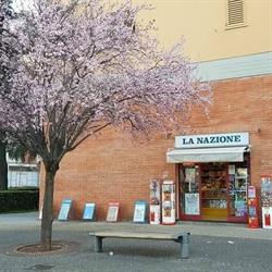 EDICOLA VIOLA DI SORU S., Scandicci orari di apertura