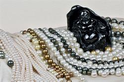 Firenze Shankara SRL, orari di apertura