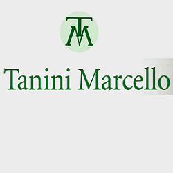 Tanini Marcello, Castelfiorentino orari di apertura