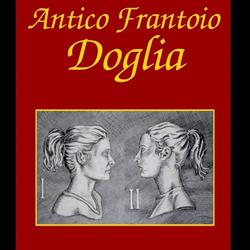 Frantoio Antico Frantoio Doglia, Impruneta orari di apertura