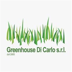 Greenhouse Di Carlo SRL, Cassino orari di apertura