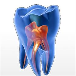 Euro Medico Dentale SRL, Taggia orari di apertura