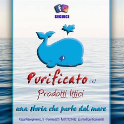 Purificato S.r.l., Formia orari di apertura