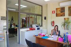 La Collina Immobiliare SAS Di Mariucci Cinzia, Cisterna di Latina orari di apertura
