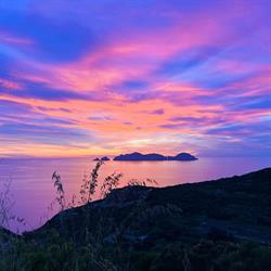 Azzurra Residence Di Silverio Scotti e C. SAS, Ponza orari di apertura