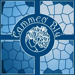 Cammeo Blu Di Piccinni Maria Ada, Tricase orari di apertura