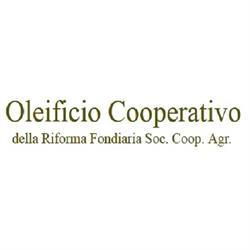 Oleificio Cooperativo della Riforma Fondiaria di Leverano, orari di apertura