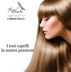 Scupola Monica, Specchia orari di apertura