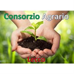 Consorzio Agrario Interprovinciale Di Como E Sondrio, Lecco orari di apertura