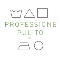 Professione Pulito SRL, Molteno orari di apertura