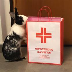 Ortopedia Sanitas, Lecco orari di apertura