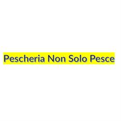 Non Solo Pesce, Collesalvetti orari di apertura
