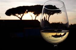 Residence Podere San Giuseppe Sas, San Vincenzo orari di apertura