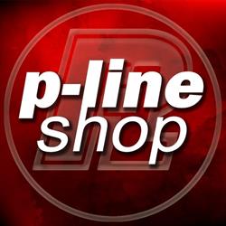 P-Line Europe Srl, Gallicano orari di apertura