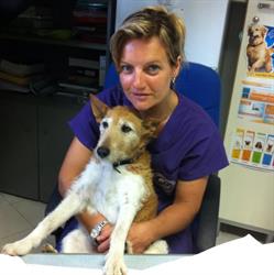 Ambulatorio Veterinario Montramito Dottoressa Nicoletta Corrieri, Massarosa orari di apertura