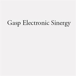 Gasp Elettronics Sinergy, Recanati orari di apertura