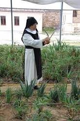 Monastero S. Caterina, San Severino Marche orari di apertura