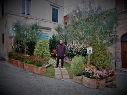 Manutenzione Giardini Fiorani Paolo, Appignano orari di apertura
