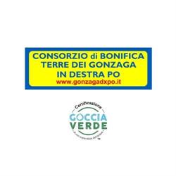 Consorzio Di Bonifica Terre Dei Gonzaga In Destra Po, Mantova orari di apertura