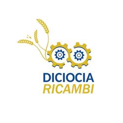 Diciocia Ricambi Sas, Irsina orari di apertura