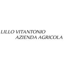 Lillo Vitantonio Azienda Agricola, Irsina orari di apertura