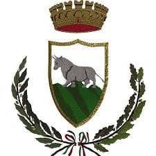 Comune Di Tricarico, orari di apertura