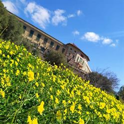 Seminario Arcivescovile, Messina orari di apertura