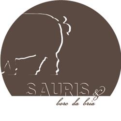 Sauris & Borc Da Bria, Milano orari di apertura
