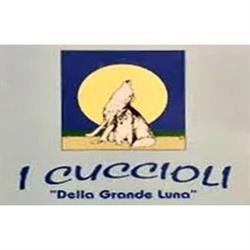 I Cuccioli della Grande Luna Negozio di Animali, Milano orari di apertura