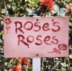 Rose's Roses SRL, Milano orari di apertura