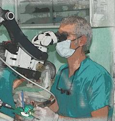 Barbini Enrico Maria, Monza orari di apertura