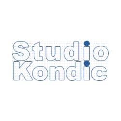 Studio Kondic S.r.l., Legnano orari di apertura