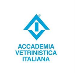 Accademia Vetrinistica Italiana Milano, Centro Duomo - Orari di apertura