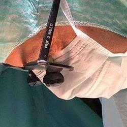 Maleti Oscar, Modena orari di apertura