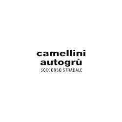 Camellini Autogru Srl, Modena orari di apertura
