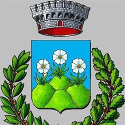 Comune Di Montefiorino, orari di apertura