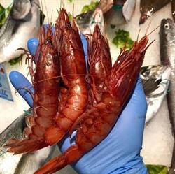 Pescheria Raffaele ò Puzzulano, Napoli orari di apertura