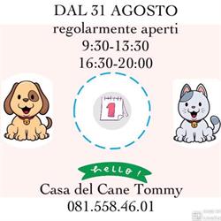 La Casa del Cane Tommy di D'aria Anna, Napoli orari di apertura