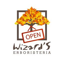 Erboristeria Wizard'S Di Moccia A., Frattamaggiore orari di apertura