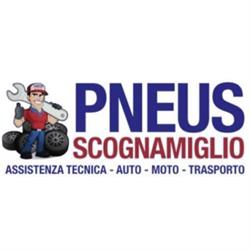 Pneus Scognamiglio, Portici orari di apertura
