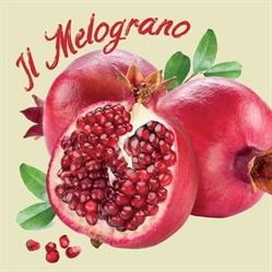 Il Melograno Frutta e Verdura, Borgomanero orari di apertura
