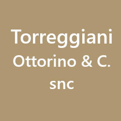 Torreggiani Ottorino & C. snc, Dormelletto orari di apertura