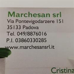 Marchesan S.r.l., Padova orari di apertura